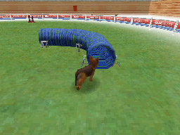 Nintendogs: Teckel y Compañía - Imagen 12