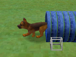 Nintendogs: Teckel y Compañía