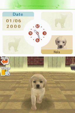 Nintendogs: Teckel y Compañía - Imagen 16