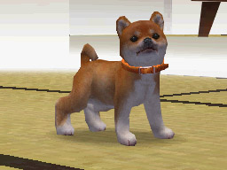 Nintendogs: Teckel y Compañía
