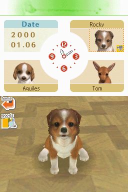 Nintendogs: Teckel y Compañía - Imagen 12
