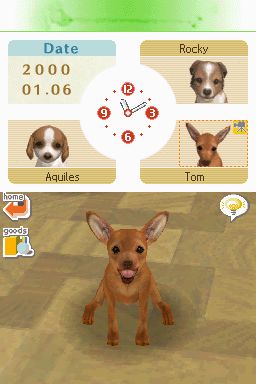 Nintendogs: Teckel y Compañía - Imagen 14