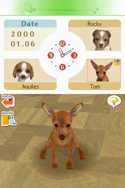 Nintendogs: Teckel y Compañía - Imagen 9
