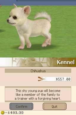 Nintendogs: Teckel y Compañía - Imagen 4