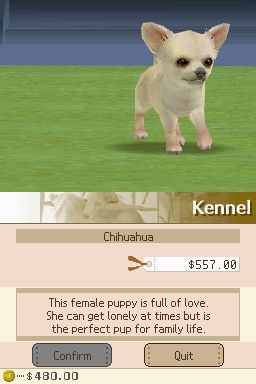 Nintendogs: Teckel y Compañía - Imagen 24