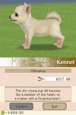 Nintendogs: Teckel y Compañía - Imagen 5