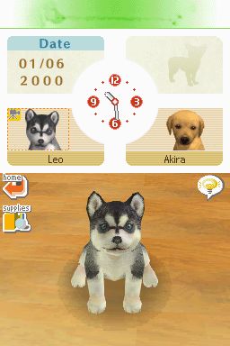 Nintendogs: Teckel y Compañía - Imagen 6