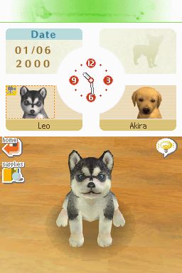 Nintendogs: Teckel y Compañía - Imagen 7