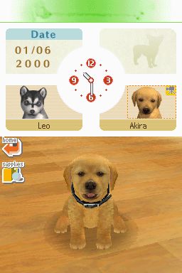 Nintendogs: Teckel y Compañía - Imagen 2