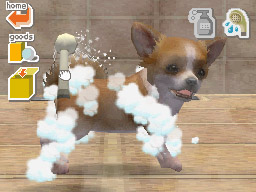 Nintendogs: Teckel y Compañía - Imagen 49