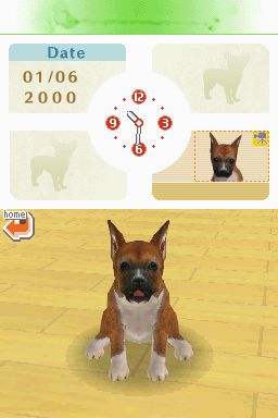 Nintendogs: Teckel y Compañía - Imagen 22