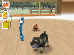 Nintendogs: Teckel y Compañía - Imagen 37