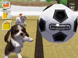Nintendogs: Teckel y Compañía - Imagen 27