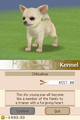 Nintendogs: Teckel y Compañía - Imagen 21