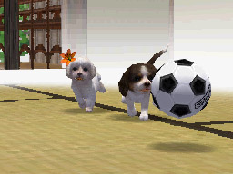 Nintendogs: Teckel y Compañía - Imagen 40