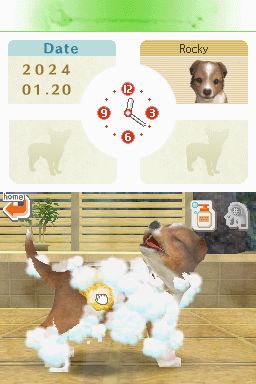 Nintendogs: Teckel y Compañía - Imagen 35