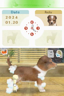 Nintendogs: Teckel y Compañía - Imagen 31