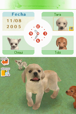 Nintendogs: Teckel y Compañía - Imagen 32