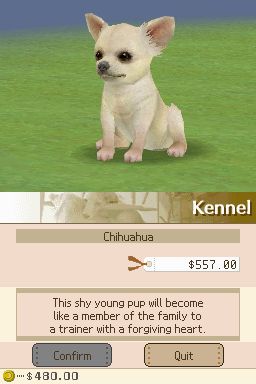 Nintendogs: Teckel y Compañía - Imagen 23