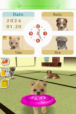 Nintendogs: Teckel y Compañía - Imagen 25