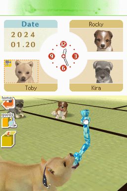 Nintendogs: Teckel y Compañía - Imagen 21