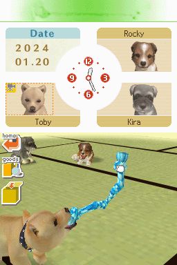 Nintendogs: Teckel y Compañía - Imagen 22