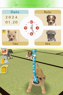 Nintendogs: Teckel y Compañía - Imagen 15