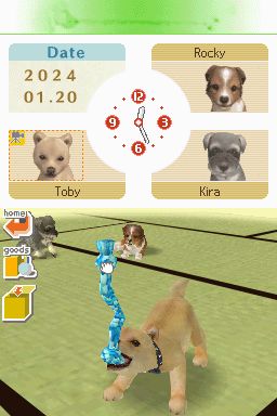 Nintendogs: Teckel y Compañía - Imagen 16