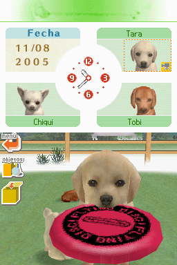 Nintendogs: Teckel y Compañía - Imagen 18