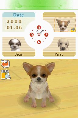 Nintendogs: Teckel y Compañía - Imagen 19
