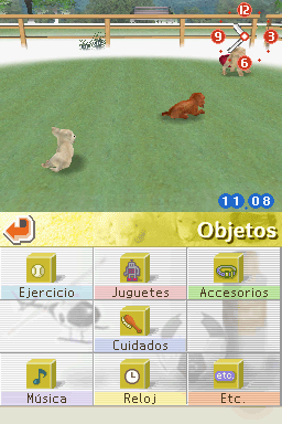 Nintendogs: Teckel y Compañía - Imagen 20