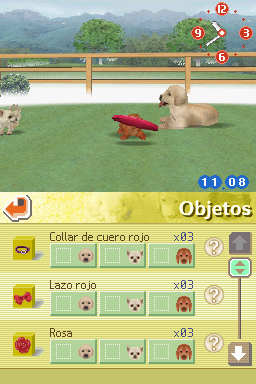 Nintendogs: Teckel y Compañía - Imagen 9