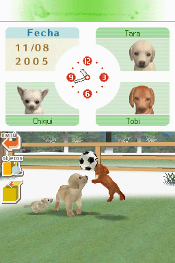 Nintendogs: Teckel y Compañía - Imagen 11