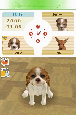 Nintendogs: Teckel y Compañía - Imagen 5