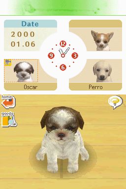 Nintendogs: Teckel y Compañía - Imagen 10