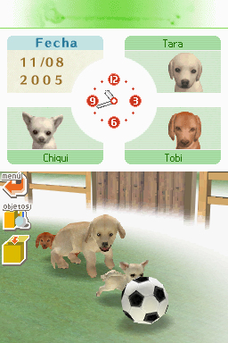 Nintendogs: Teckel y Compañía - Imagen 7