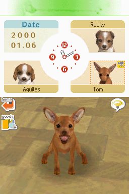 Nintendogs: Teckel y Compañía - Imagen 8