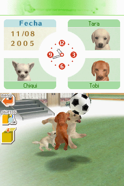 Nintendogs: Teckel y Compañía - Imagen 4