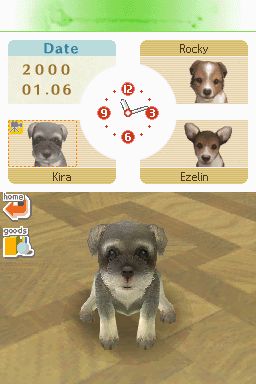 Nintendogs: Teckel y Compañía - Imagen 1