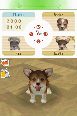 Nintendogs: Teckel y Compañía - Imagen 3