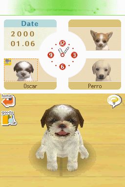 Nintendogs: Teckel y Compañía - Imagen 17