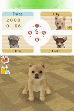 Nintendogs: Teckel y Compañía - Imagen 45