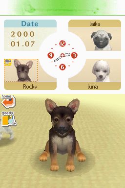 Nintendogs: Teckel y Compañía - Imagen 46
