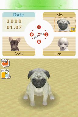 Nintendogs: Teckel y Compañía - Imagen 43