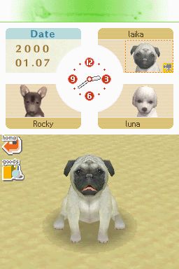 Nintendogs: Teckel y Compañía - Imagen 37