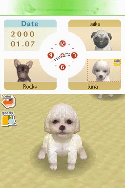 Nintendogs: Teckel y Compañía - Imagen 33