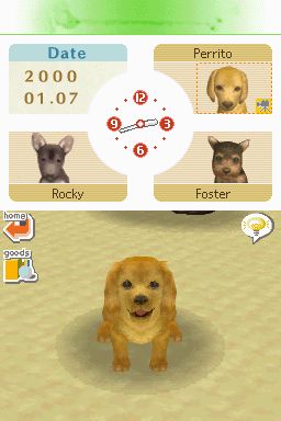 Nintendogs: Teckel y Compañía - Imagen 34