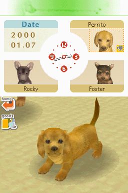 Nintendogs: Teckel y Compañía - Imagen 35