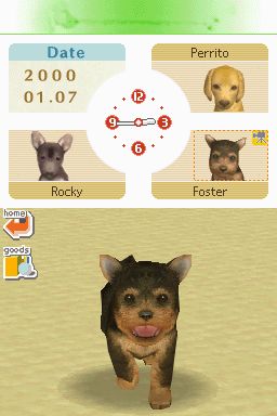 Nintendogs: Teckel y Compañía - Imagen 32