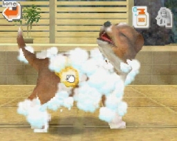Nintendogs: Teckel y Compañía - Imagen 29